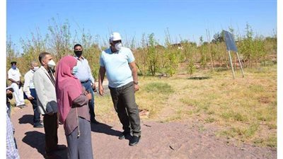 محافظ الوادى الجديد يتفقد مشروع إنتاج المورينجا