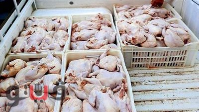 الشرقية تحاصر مافيا الأغذية الفاسدة.. ضبط كميات كبيرة من الدواجن الفاسدة