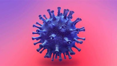 تفاصيل عمل اللجنة الاستشارية الدولية لفيروس كورونا