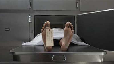 قتل دفاعا عن شقيقه الأصغر .. النيابة تكشف التفاصيل الكاملة في جريمة حدائق المعادي