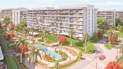 جهاز زايد يواصل حملات إزالة المخالفات وتعقيم وحدات مشروع جنة بالمدينة