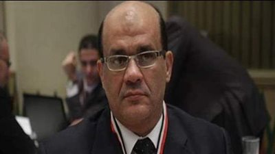 نائب: مبادرة تشجيع المنتج المحلى خطوة إيجابية لعودة شعار صنع فى مصر