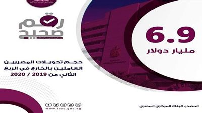 6.9 مليار دولار حجم تحويلات المصريين العاملين في الخارج  | إنفوجراف ​