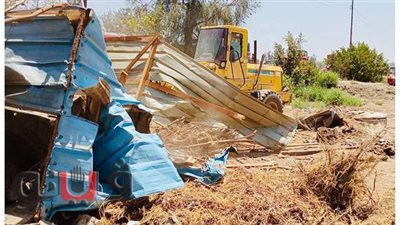 تنفيذ 45 قرار  إزالة تعديات على الأراضي الزراعية بكفر الشيخ | صور