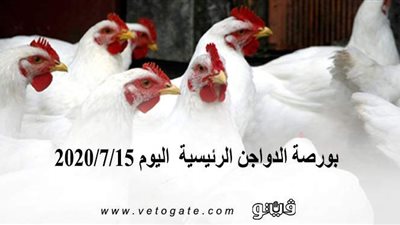 بورصة الدواجن الرئيسية  اليوم 2020/7/15