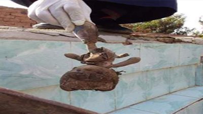 أهالي بني سويف يعثرون على أعمال سحر بالمقابر