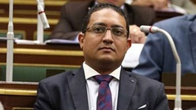 برلماني يطالب بتصنيف عُمري للألعاب الإلكترونية لمواجهة تحدي الشنق عند الأطفال