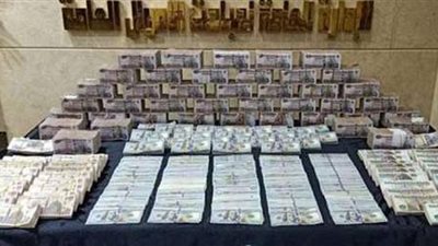 ضبط ربة منزل وعامل استوليا على 1.8 مليون من المواطنين بالشرقية