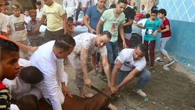 ما حكم النحر وما شروطه وأى الأيام يجوز الذبح فيها ؟