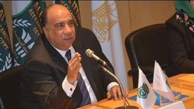 محمد مصيلحى: أزمتان تعترضان النقل البحري مع القارة الأفريقية