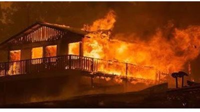 النيابة تنتدب المعمل الجنائي لبيان سبب حريق نشب داخل حديقة في حلوان