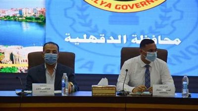 234 مليون جنيه قيمة مشروعات رفع كفاءة الطرق بالدقهلية