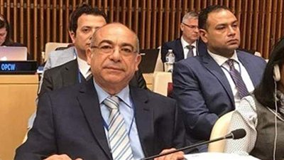 الخارجية: وقوف مصر مع أشقائها في البحيرات العظمى الأفريقية تاريخي