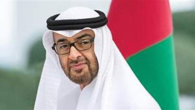 محمد بن زايد يبحث الأزمة الليبية مع الرئيس الفرنسي