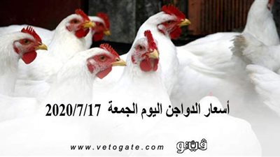 أسعار الدواجن اليوم الجمعة  2020/7/17