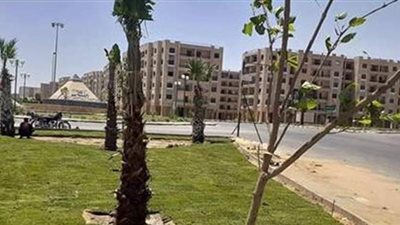 تنفيذ مشروع رفع كفاءة وصيانة المسطحات الخضراء بالشروق