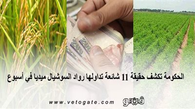 الحكومة تكشف حقيقة 11 شائعة تداولها رواد السوشيال ميديا في أسبوع | إنفوجراف