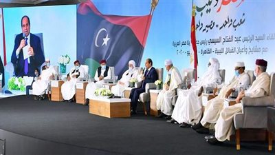 تفاصيل مطالب مشايخ وأعيان القبائل الليبية من مصر لمواجهة تركيا وقطر