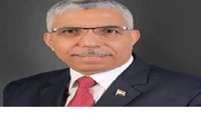 محمد الغباشي: مصر حريصة على تحقيق السلام ووحدة أراضي ليبيا