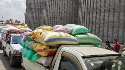 الشرقية تتصدر المركز الأول لحصاد القمح بزيادة 30 ألف طن عن العام الماضي