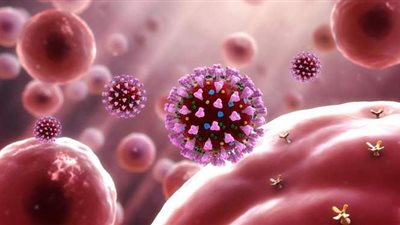 أستاذة أمراض دم: عدد من مرضى اللوكيميا تعافوا من كورونا