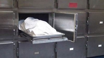 أمن قنا يكشف غموض واقعة مقتل شقيقين بنجع حمادي