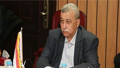 تحالف الأحزاب المصرية يفوض  السيسى فى اتخاذ ما يراه مناسبًا لحماية الأمن القومي 