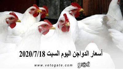 أسعار الدواجن اليوم السبت 2020/7/18