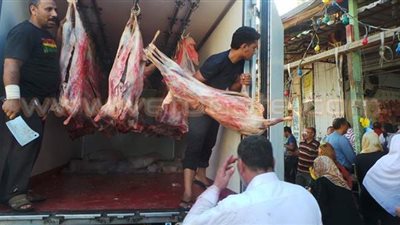 طرح أبقار وجاموس ولحوم بلدي بـ 90 جنيه للكيلو بمنافذ مشروع الثروة الحيوانية بأسيوط