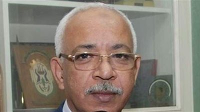 عبد المنعم الجمل: نمر بمرحلة حرجة تستوجب الالتفاف خلف القيادة السياسية