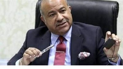 رئيس جهاز تنمية التجارة  يبحث مع محافظ جنوب سيناء إنشاء مناطق لوجستية