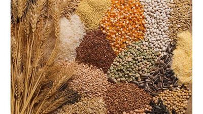 3 فوائد مذهلة للحبوب الكاملة تدفعلك لجعلها أساسية في نظامك الغذائي