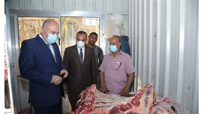 محافظ قنا يتابع الأسواق ومعارض اللحوم قبل عيد الأضحى | صور