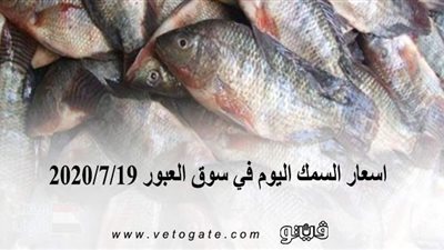 اسعار السمك اليوم في سوق العبور 2020/7/19