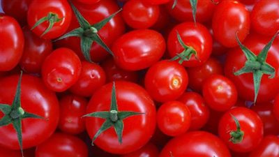 الطماطم تسجل 5 جنيهات في الأسواق  | فيديو