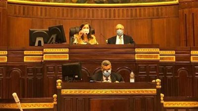 هالة السعيد تؤكد ضرورة توافق قانون التخطيط مع مواد الدستور الحالي