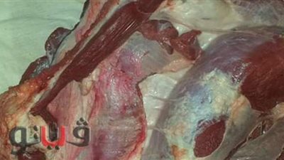 ضبط لحوم بأختام مزورة في حملة على أسواق الفيوم