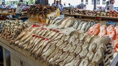 اسعار السمك اليوم في سوق العبور20 / 7 / 2020