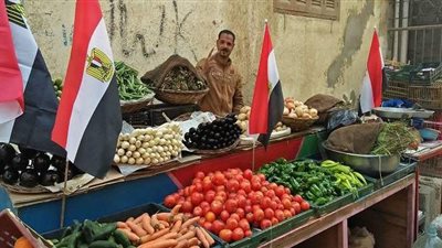 شعبة المستوردين: مبادرة تحفيز الاستهلاك سترفع المبيعات بنسبة 30%