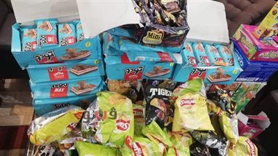ضبط 335 عبوة مواد غذائية منتهية الصلاحية بالمحلة الكبرى