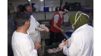 تحرير 200 محضر وضبط نصف طن لحوم غير صالحة في حملات بيطرية بالدقهلية