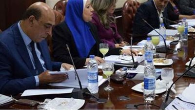 الأعلى للإعلام يساند إجراءات حماية الأمن القومي