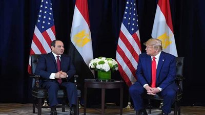 رسائل السيسي بشأن أزمات سد النهضة وليبيا واليمن تتصدر نشاط الرئيس | فيديو