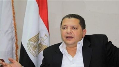 شريف حمودة:  البرلمان المصري منع أحلام أردوغان الاستعمارية