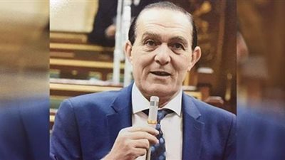 برلماني: مصر جيشا وشعبا يد واحدة في مواجهة أي عدو
