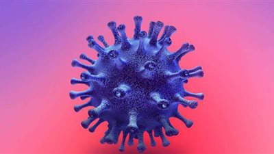 بالأرقام.. حصاد جهود الدولة اليوم الإثنين لمكافحة كورونا