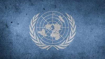 مؤسسات العجز الدولى.. البقاء للأقوى!.. دورها يقتصر على 