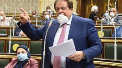 أبو العينين: بعثنا رسالة للعالم بأن نواب الشعب يقفون خلف الرئيس والقوات المسلحة