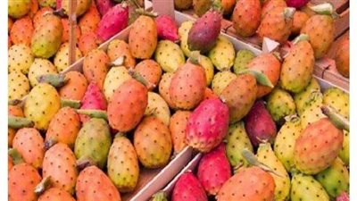 حيلة ذكية تُمكنك من تقطيع و تقشير التين الشوكي في المنزل