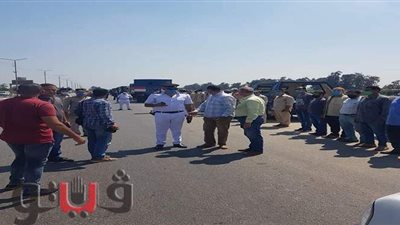 استرداد 4 أفدنة ومبنى مُقام على أرض أملاك دولة  بالشرقية | صور